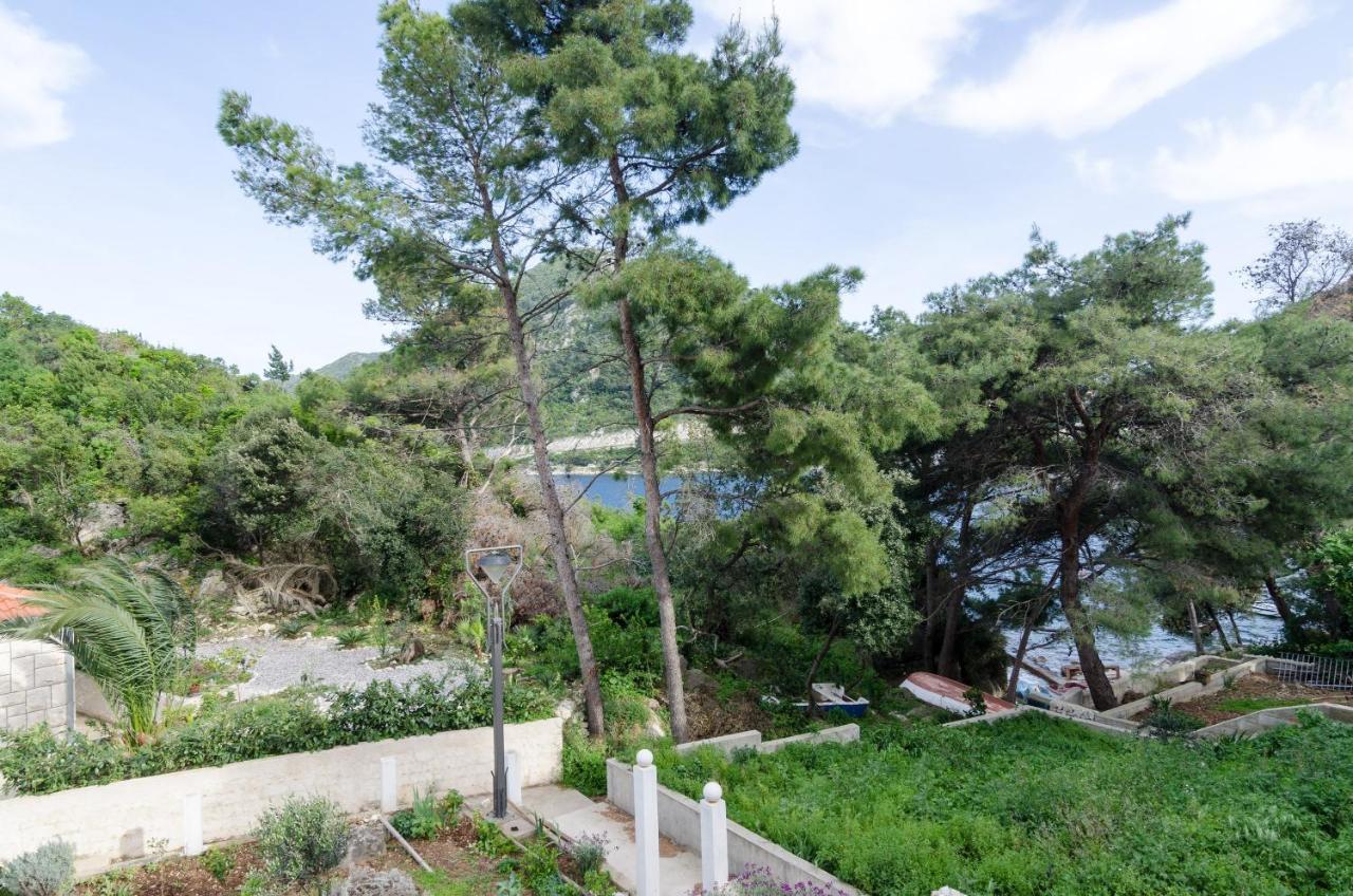 Apartments Vinko Sobra Δωμάτιο φωτογραφία